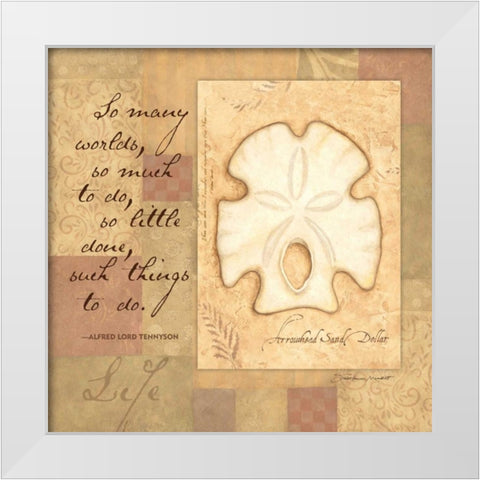 Life Shell White Modern Wood Framed Art Print by Marrott, Stephanie