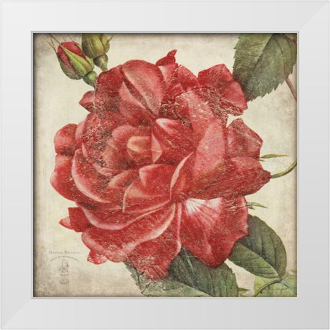 Rose Flower White Modern Wood Framed Art Print by Marrott, Stephanie