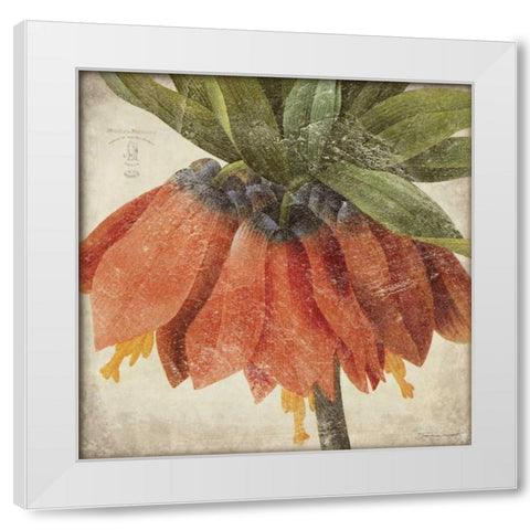 Orange Flower White Modern Wood Framed Art Print by Marrott, Stephanie