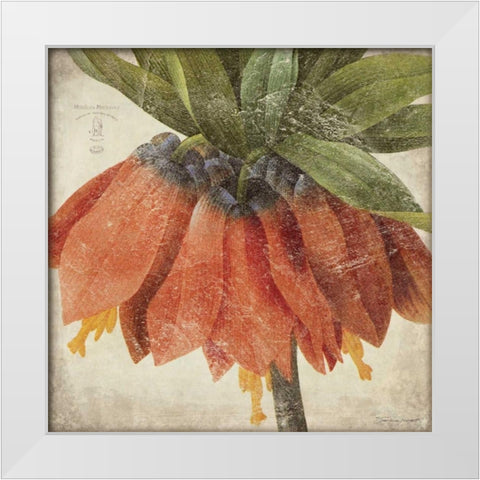Orange Flower White Modern Wood Framed Art Print by Marrott, Stephanie