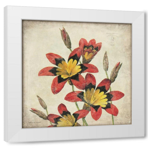 Red Lily Flower White Modern Wood Framed Art Print by Marrott, Stephanie