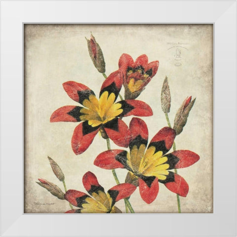 Red Lily Flower White Modern Wood Framed Art Print by Marrott, Stephanie
