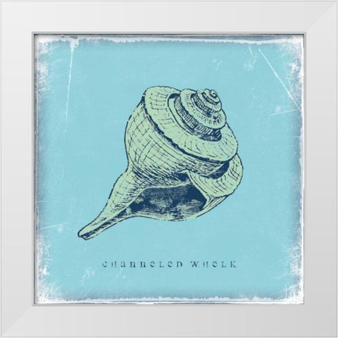 Whelk White Modern Wood Framed Art Print by Marrott, Stephanie