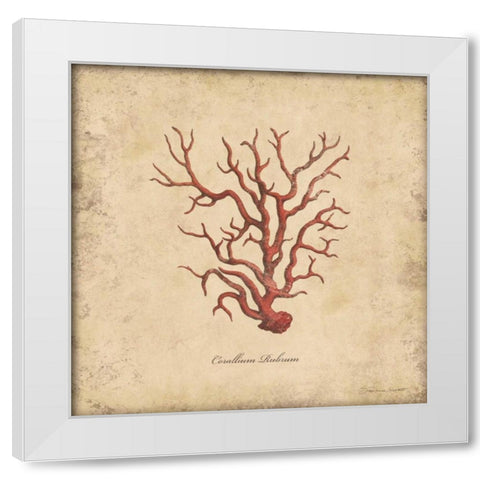 Shells I White Modern Wood Framed Art Print by Marrott, Stephanie