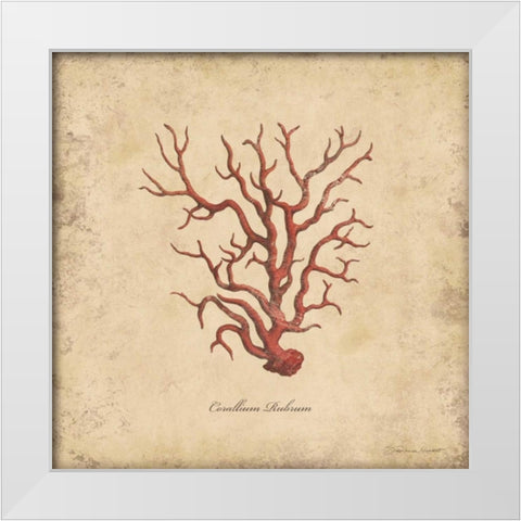 Shells I White Modern Wood Framed Art Print by Marrott, Stephanie