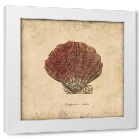 Shells II White Modern Wood Framed Art Print by Marrott, Stephanie