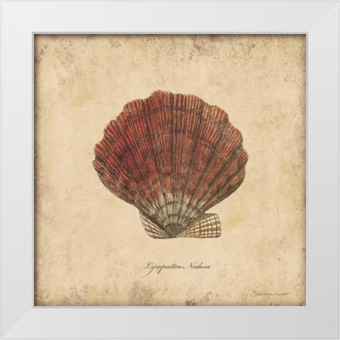 Shells II White Modern Wood Framed Art Print by Marrott, Stephanie