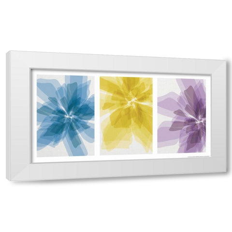 Three Xray Flowers White Modern Wood Framed Art Print by Brando, JJ