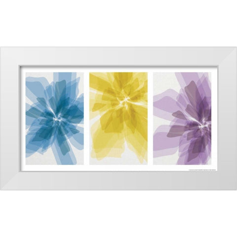 Three Xray Flowers White Modern Wood Framed Art Print by Brando, JJ