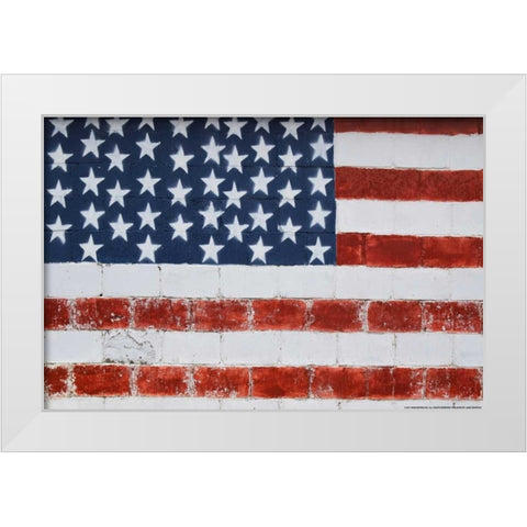 Flag 14 White Modern Wood Framed Art Print by Nobleworks, Inc.