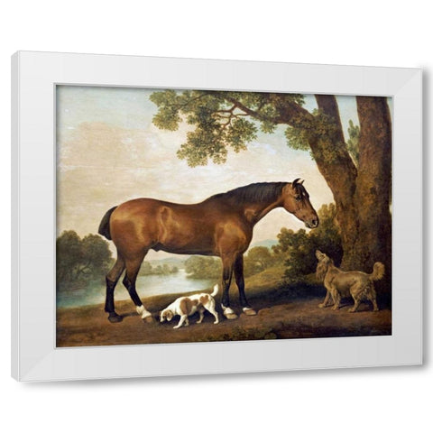 A Bay Hunter, a Springer Spaniel and a Sussex Spaniel, 1782 White Modern Wood Framed Art Print by Stubbs, George
