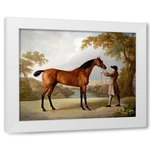 Tristram Shandy White Modern Wood Framed Art Print by Stubbs, George