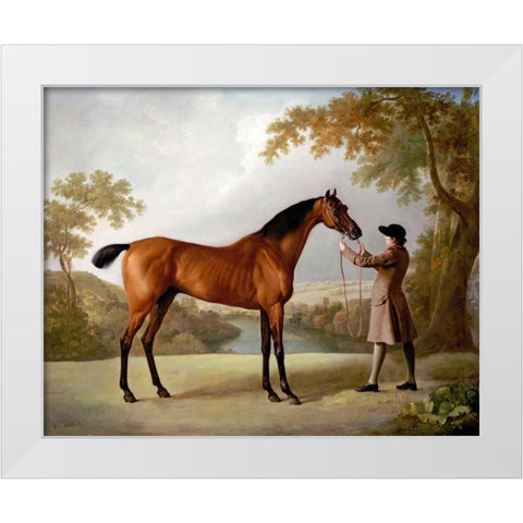 Tristram Shandy White Modern Wood Framed Art Print by Stubbs, George