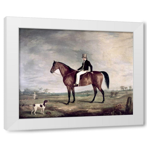 A Young Gentleman In a Grey Hat On a Bay Hunter White Modern Wood Framed Art Print by Cooper, Abraham