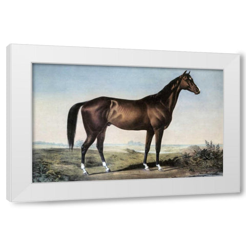 Celebrated Horse Lexington White Modern Wood Framed Art Print by Currier and Ives