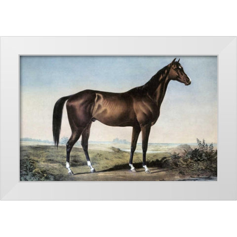 Celebrated Horse Lexington White Modern Wood Framed Art Print by Currier and Ives