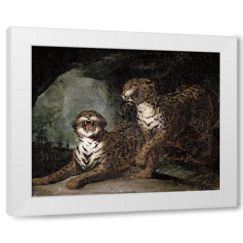 Two Leopards White Modern Wood Framed Art Print by Gericault, Theodore