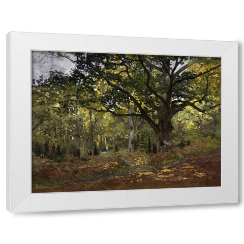 Bodmer Oak, Fontainebleau Forest, 1865 White Modern Wood Framed Art Print by Monet, Claude
