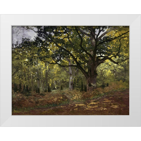 Bodmer Oak, Fontainebleau Forest, 1865 White Modern Wood Framed Art Print by Monet, Claude