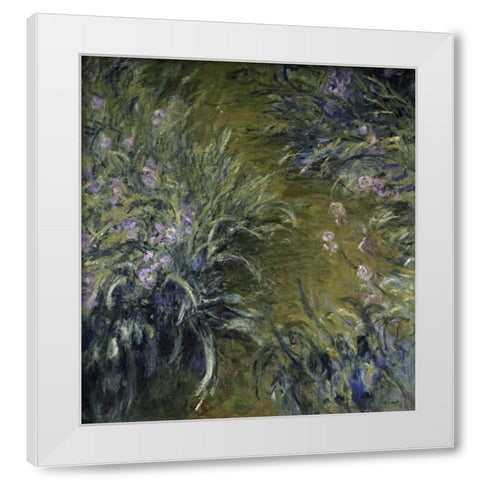 The Path Through the Irises White Modern Wood Framed Art Print by Monet, Claude