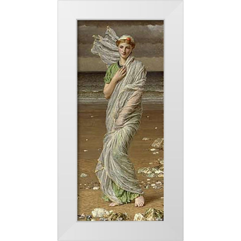 Sea Shells White Modern Wood Framed Art Print by Moore, Albert Joseph