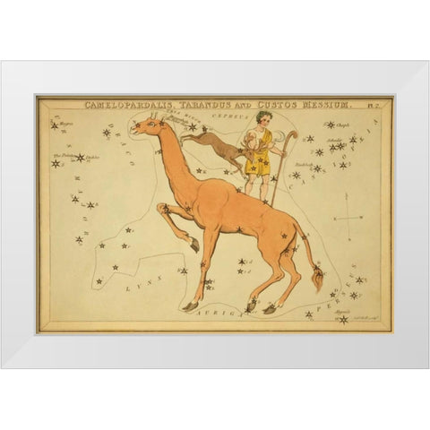 Camelopardalis, Tarandus and Custos Messium, 1825 White Modern Wood Framed Art Print by Aspin, Jehoshaphat