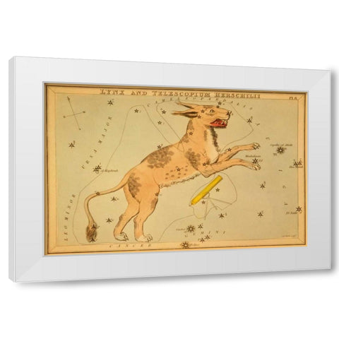 Lynx and Telescopium Herschilii, 1825 White Modern Wood Framed Art Print by Aspin, Jehoshaphat