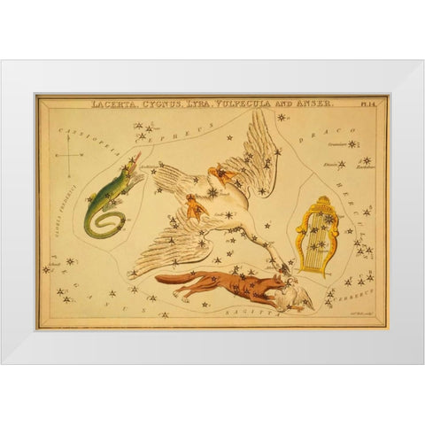 Lacerta, Cygnus, Lyra, Vulpecula and Anser, 1825 White Modern Wood Framed Art Print by Aspin, Jehoshaphat