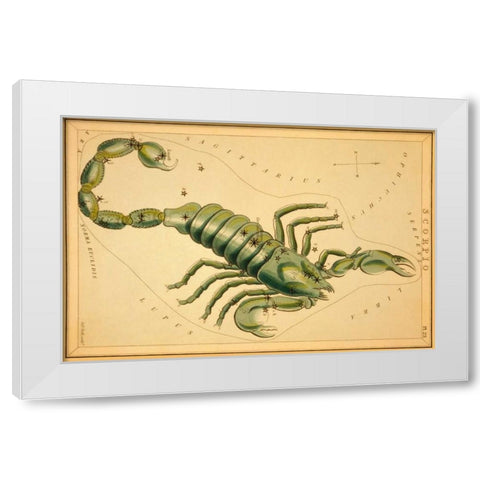 Scorpio, 1825 White Modern Wood Framed Art Print by Aspin, Jehoshaphat