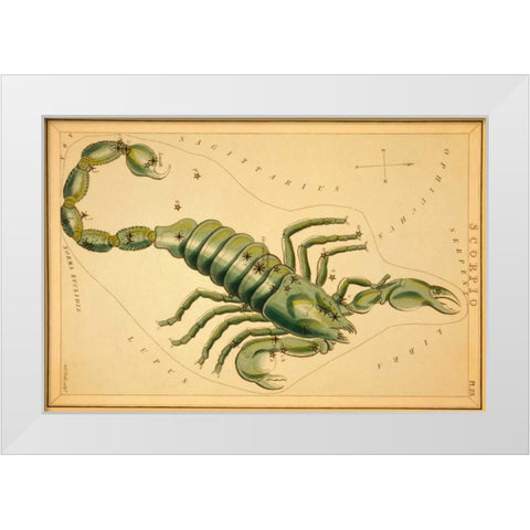 Scorpio, 1825 White Modern Wood Framed Art Print by Aspin, Jehoshaphat