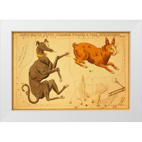 Canis Major, Lepus, Columba Noachi and Cela Sculptoris, 1825 White Modern Wood Framed Art Print by Aspin, Jehoshaphat