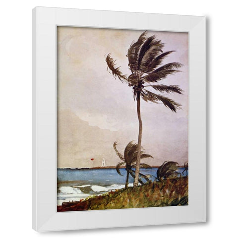 Palm Tree Nassau White Modern Wood Framed Art Print by Homer, Winslow