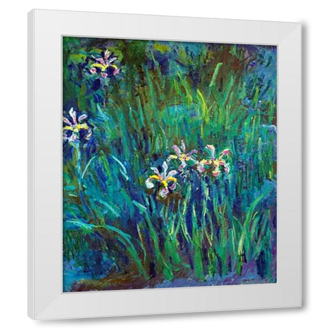 Irises 1914-1917 White Modern Wood Framed Art Print by Monet, Claude