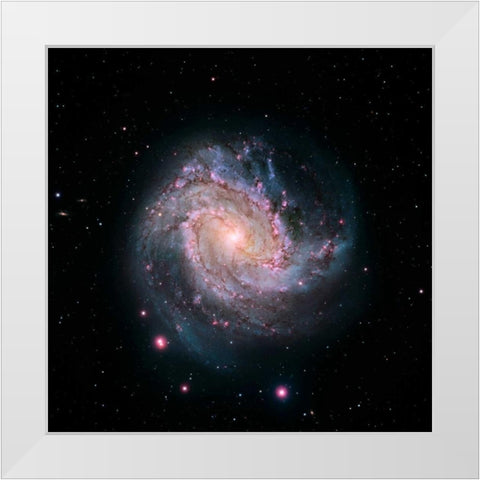 M83 - Spiral Galaxy - Hubble-Magellan Composite White Modern Wood Framed Art Print by NASA
