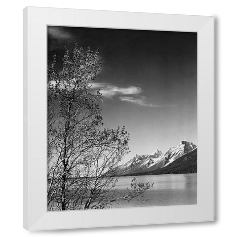View of mountains with tree in foreground, Grand Teton National Park, Wyoming, 1941 White Modern Wood Framed Art Print by Adams, Ansel