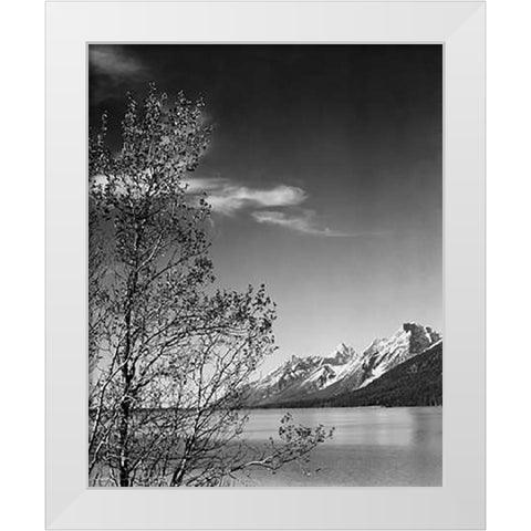 View of mountains with tree in foreground, Grand Teton National Park, Wyoming, 1941 White Modern Wood Framed Art Print by Adams, Ansel
