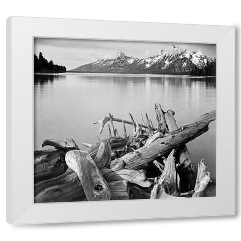 Driftwood on shore of Jackson Lake, with Teton Range in background, Grand Teton National Park, Wyomi White Modern Wood Framed Art Print by Adams, Ansel