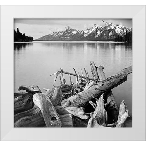 Driftwood on shore of Jackson Lake, with Teton Range in background, Grand Teton National Park, Wyomi White Modern Wood Framed Art Print by Adams, Ansel