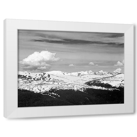 View at timberline, dark foreground, light snow capped mountain, gray sky, in Rocky Mountain Nationa White Modern Wood Framed Art Print by Adams, Ansel