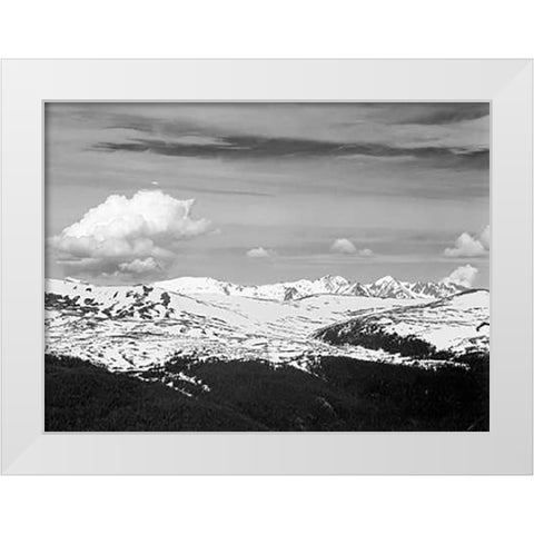 View at timberline, dark foreground, light snow capped mountain, gray sky, in Rocky Mountain Nationa White Modern Wood Framed Art Print by Adams, Ansel