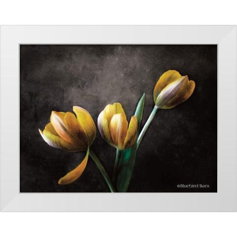 Contemporary Floral Tulips White Modern Wood Framed Art Print by Bluebird Barn
