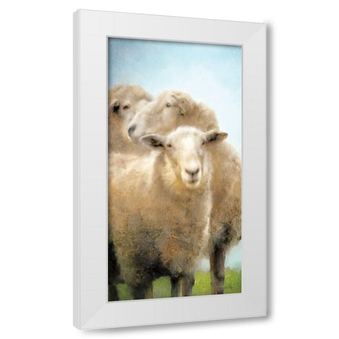 Three Sheep Portrait White Modern Wood Framed Art Print by Bluebird Barn