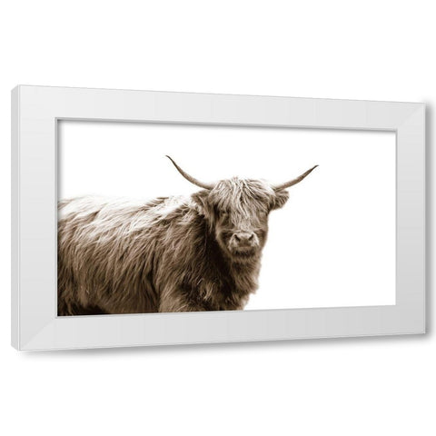 Highland Portrait White Modern Wood Framed Art Print by Quillen, Donnie