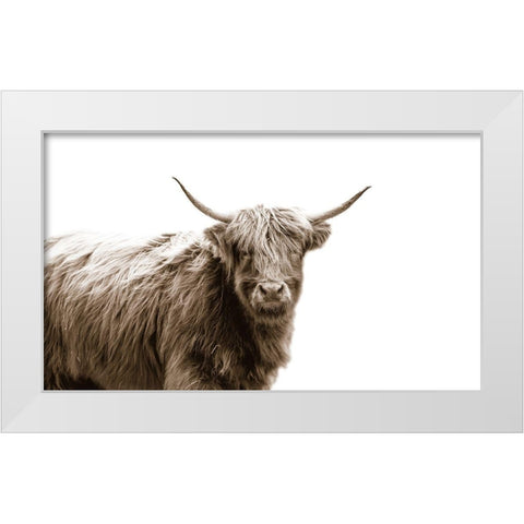 Highland Portrait White Modern Wood Framed Art Print by Quillen, Donnie