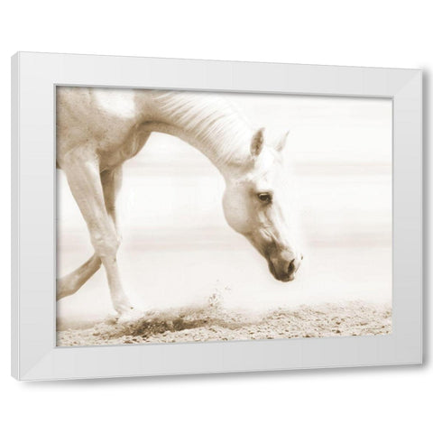 Trail Horse Sepia White Modern Wood Framed Art Print by Brooks, Kari