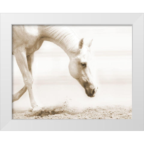 Trail Horse Sepia White Modern Wood Framed Art Print by Brooks, Kari