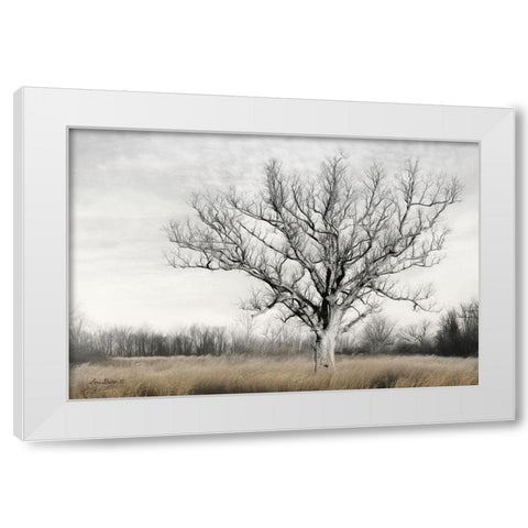 Earth and Sky White Modern Wood Framed Art Print by Deiter, Lori