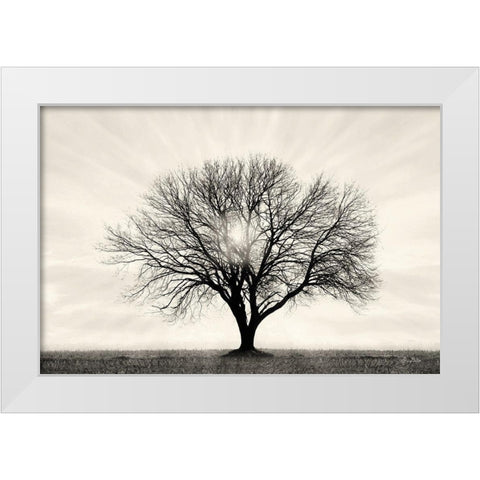 Grow in Different Directions White Modern Wood Framed Art Print by Deiter, Lori