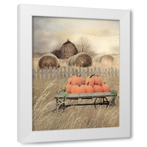 Pumpkin Harvest White Modern Wood Framed Art Print by Deiter, Lori