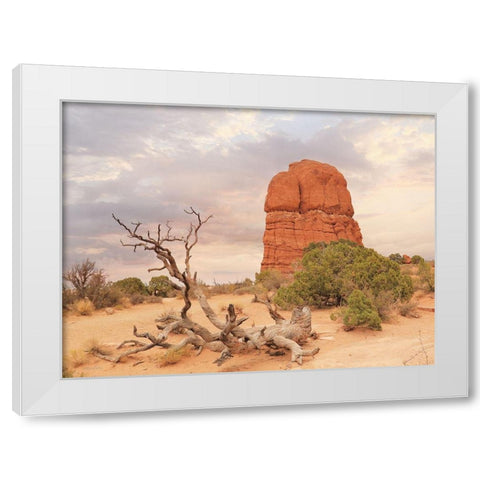 Dusty Desert I White Modern Wood Framed Art Print by Deiter, Lori